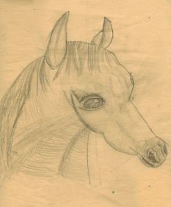 Horse Study1 sm