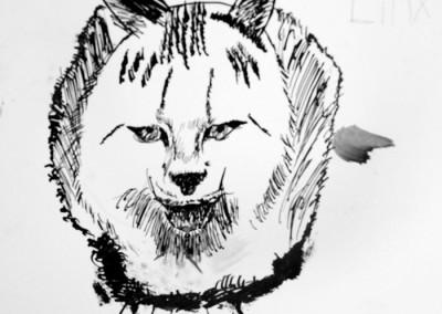 Lynx study (ink)