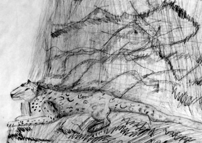Jaguar (pencil drawing)
