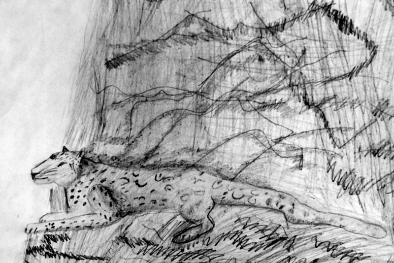 Jaguar (pencil drawing)
