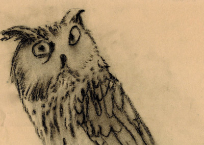 Owl (charcoal)